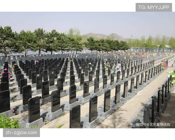 花莲县立棒球场整建计划核定总经费新台币1亿1000万元,中央补助9900万元 花莲县立棒球场整建计划核定总经费新台币1亿1000万元,中央补助9900万元